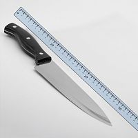 Нож 33,5см с пластиковой ручкой поварской универсальный 3HNZ-01